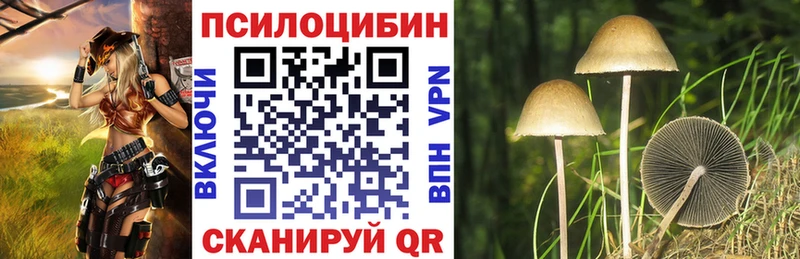 сколько стоит  Аргун  Галлюциногенные грибы MAGIC MUSHROOMS 